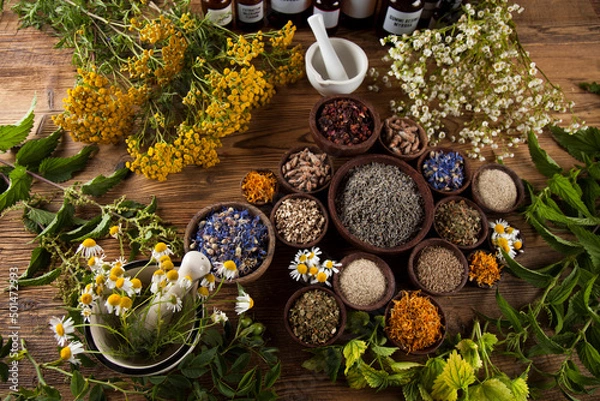 Obraz Alternative medicine, dried herbs and mortar on wooden desk background
