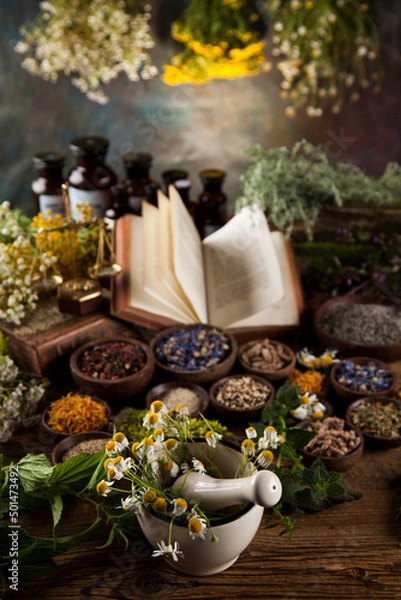 Obraz Herbal medicine and book on wooden table background