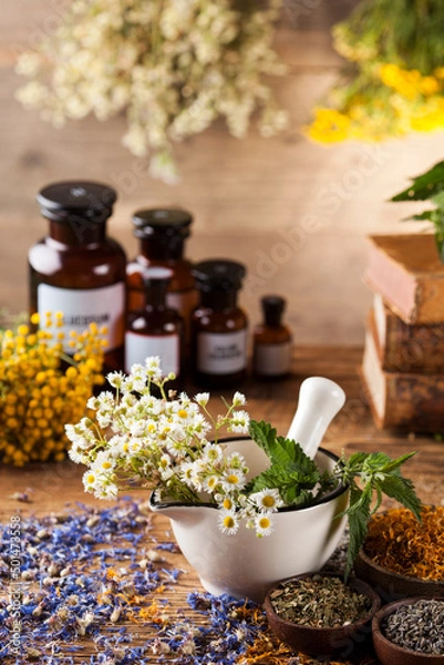 Obraz Mortar, Alternative medicine and Natural remedy