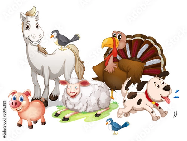Fototapeta Many farm animals on white background
