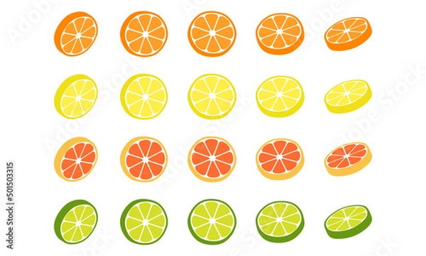 Fototapeta 柑橘系のくだもの_断面