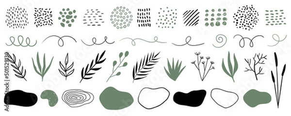 Fototapeta Hand drawn plants, organic shapes, dots, lines. Vector set of minimal trendy abstract natural elements for graphic design