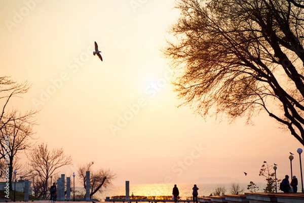 Obraz sunset over the city