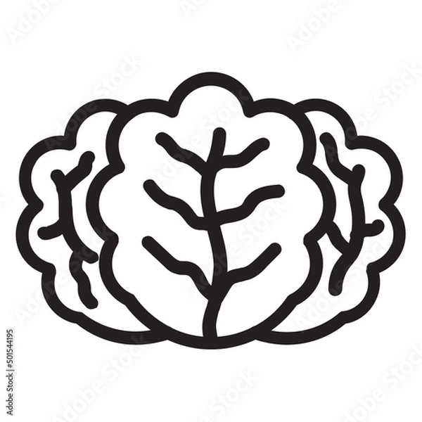 Fototapeta Lettuce , Vegetables outline icon.