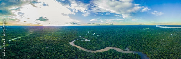 Obraz Morning in the Amazon Rainforest