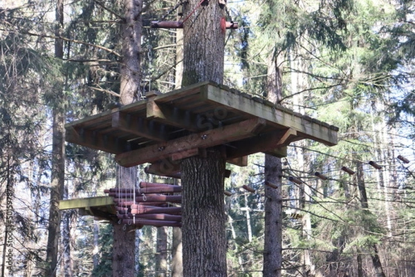 Fototapeta rope trail in belarusian forest