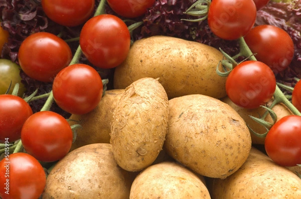 Obraz fresh vegetables