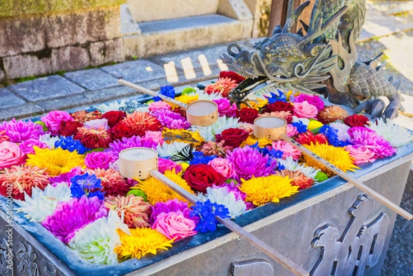 Obraz 秋の柳谷観音,花手水 楊谷寺(京都府長岡京市)