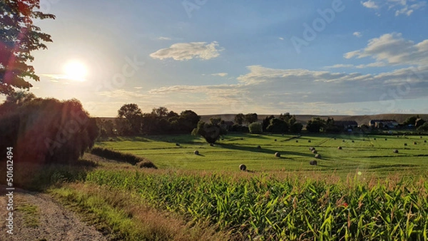 Obraz Feld mit Heuballen