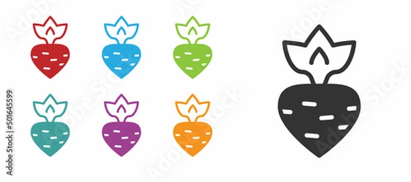 Fototapeta Black Turnip icon isolated on white background. Set icons colorful. Vector