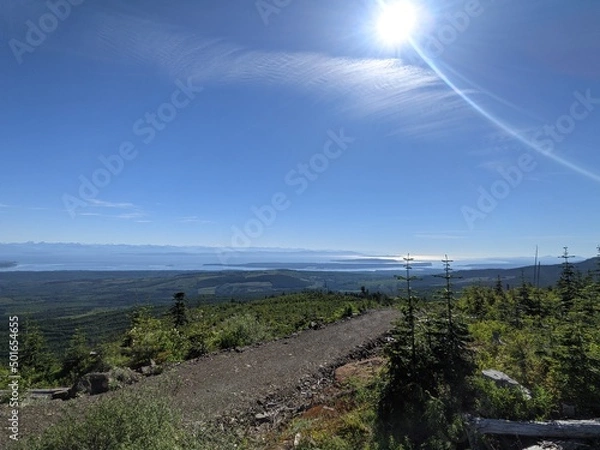 Fototapeta High elevation forestry road