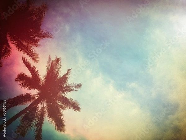 Obraz coconut tree with summer background