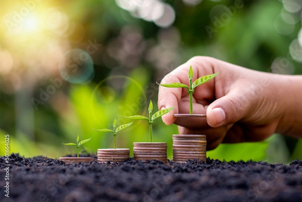 Fototapeta Planting a tree on a pile of coins, including a woman's hand holding a coin to a tree on the coin. concept of saving money and future investment