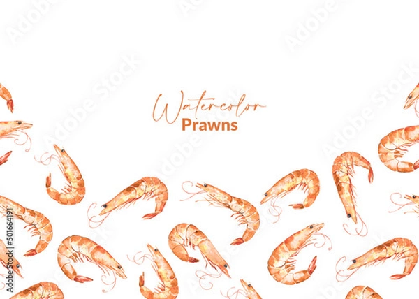 Obraz Template with watercolor illustrated prawns
