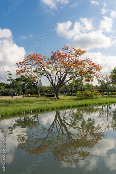 Obraz Autumn landscape with trees and lake