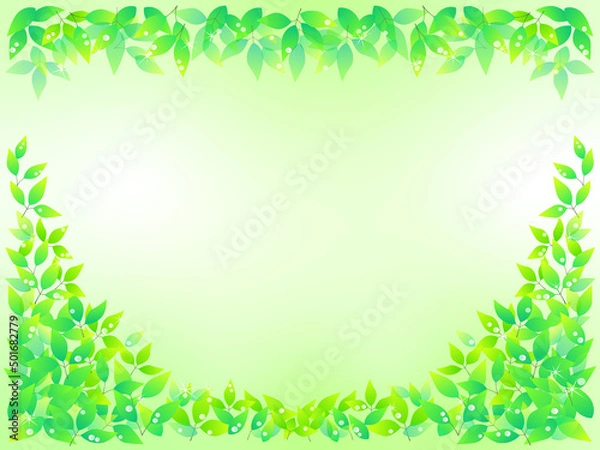 Fototapeta 若葉のフレーム風背景イラスト