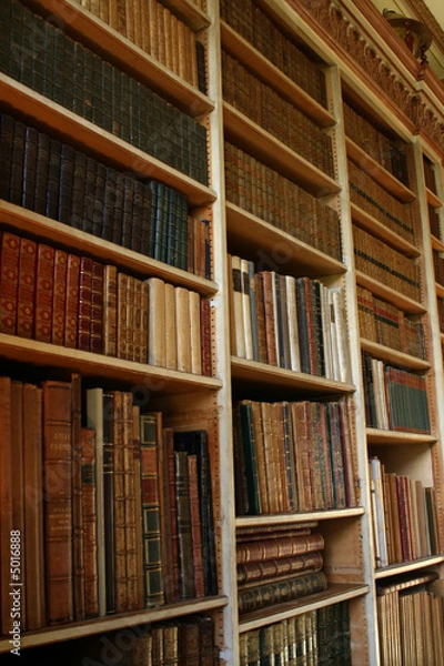 Fototapeta private library shelves with books