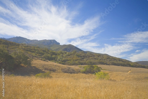 Fototapeta valley scene