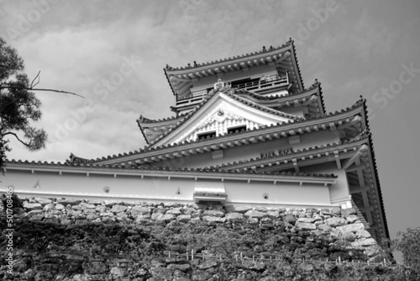 Fototapeta 高知城