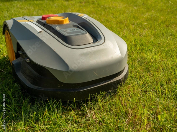 Fototapeta automatic lawn mower robot moves on the grass, lawn. side view from above, copy space