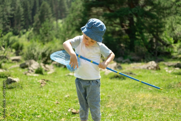 Fototapeta Little boy is walking with butterfly net and catching butterflies on green hills on sunny summer day