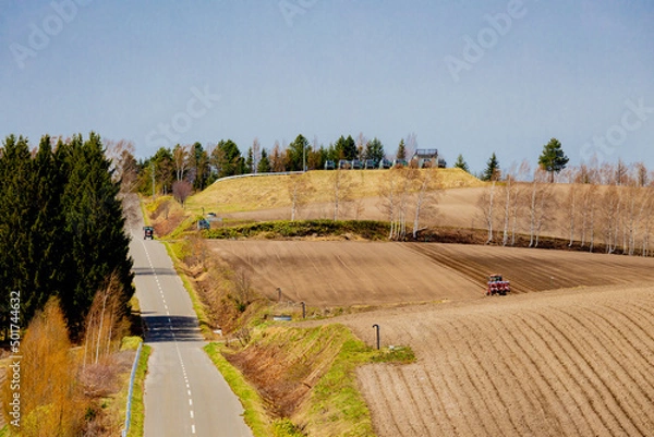 Fototapeta 目の前にまっすぐ伸びる北海道の直線道路と左右に広がる牧草畑・針葉樹