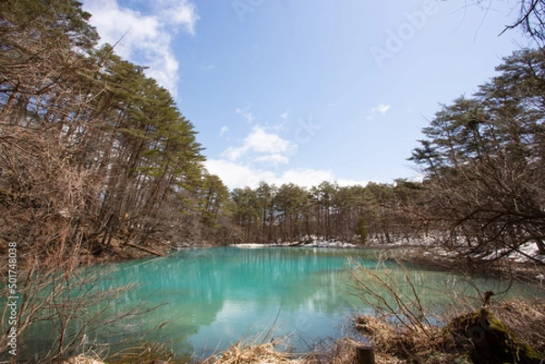 Obraz 五色沼の1つ「青沼」