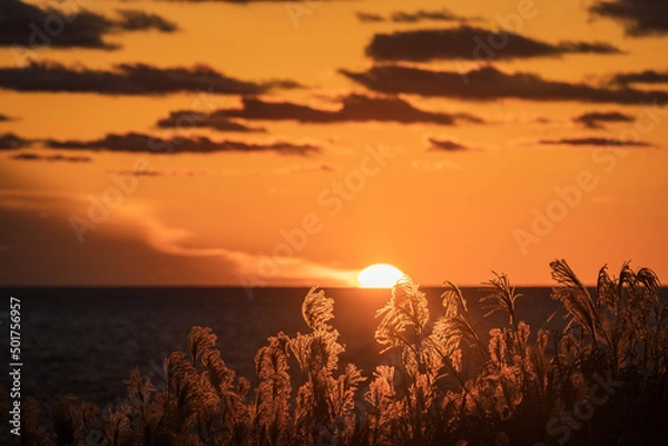 Fototapeta 奥尻島で見た景色 (日本 - 北海道 - 北追岬)