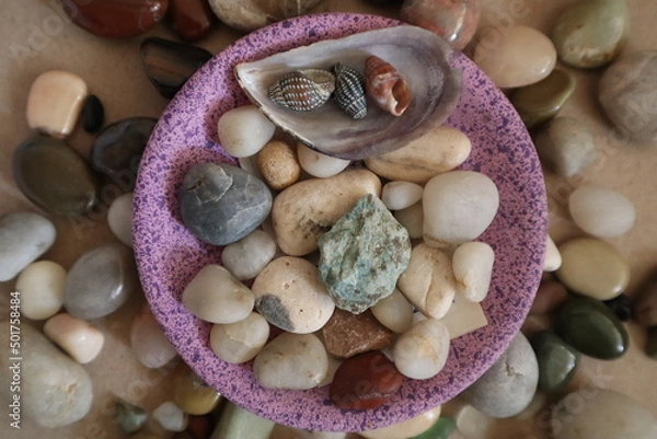 Fototapeta shells and stones