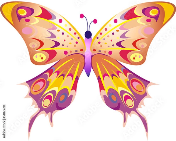 Obraz butterfly