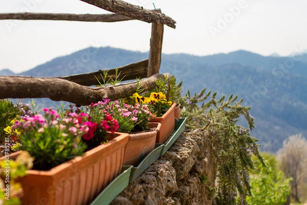 Obraz flower pots on stonewall