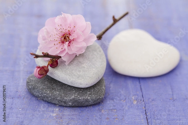Obraz galets zen et branche en fleur