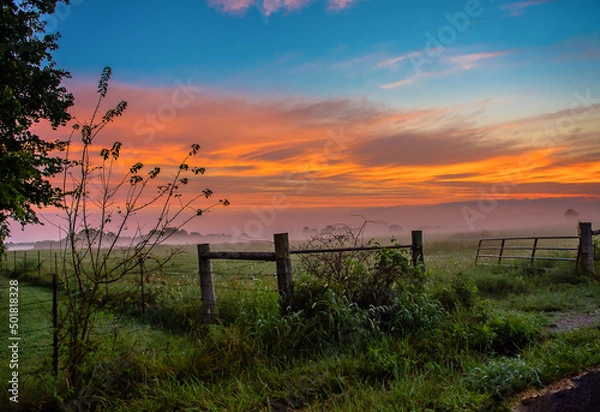 Obraz Country mornings