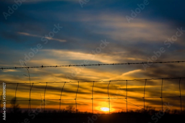 Obraz Sunset behind the fence