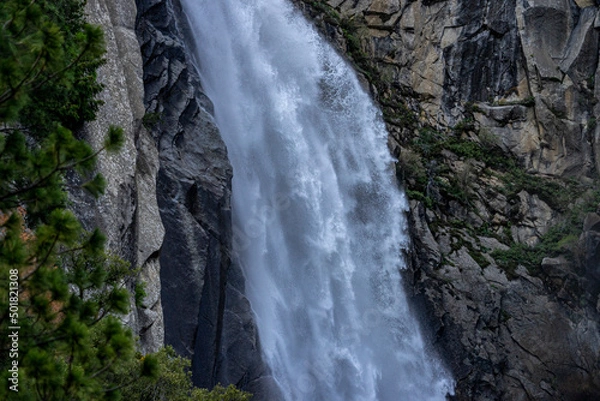 Fototapeta Waterfall in the forest