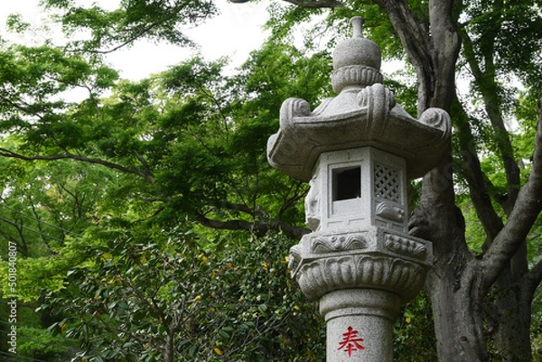 Fototapeta 灯篭　神社　神社仏閣　燈籠