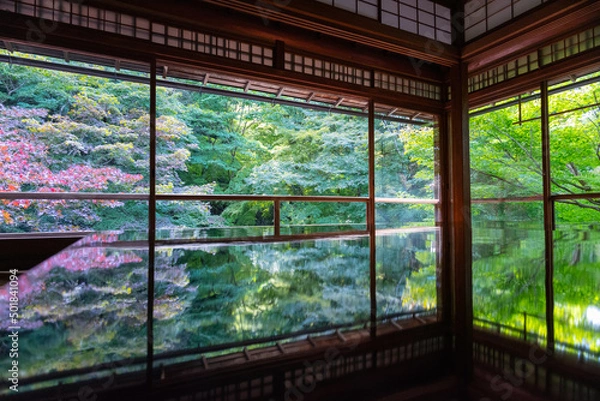 Obraz 京都瑠璃光院の景色