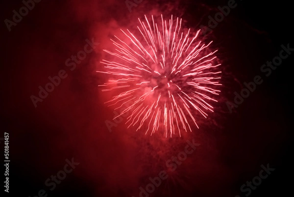 Obraz fireworks in the night