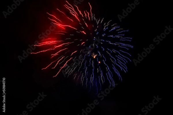 Obraz fireworks in the night