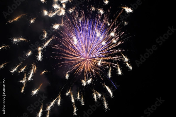 Obraz fireworks in the sky