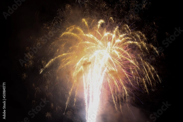 Obraz fireworks in the night