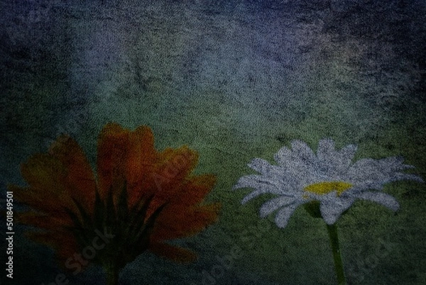 Obraz epitet pelt wish