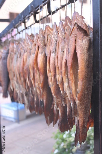 Obraz truites fumées