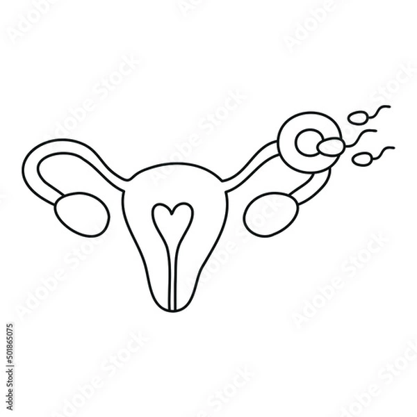 Fototapeta Fertilization thin line icon. Uterus, sperm, insemination. Fertilization in the fallopian tube. Embryology. 
