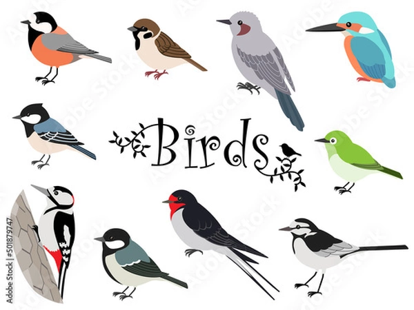 Fototapeta かわいい日本の野鳥イラストセット