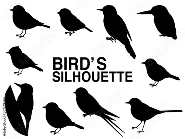 Fototapeta かわいい日本の野鳥シルエットセット