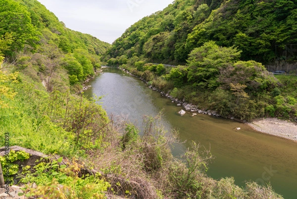 Fototapeta 愛岐トンネル近くの庄内川