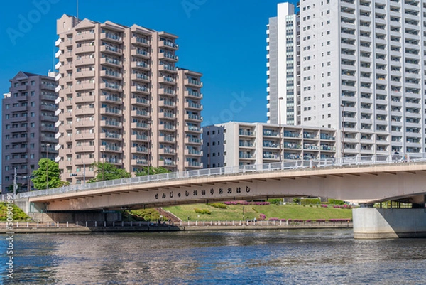 Fototapeta 青空に映える千住汐入大橋　隅田川