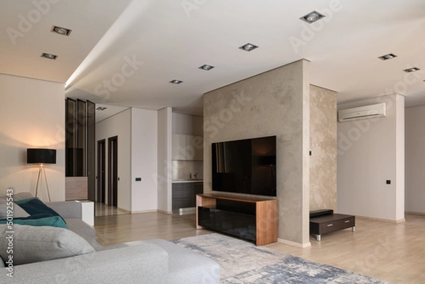 Obraz modern living room with gray sofa and big TV