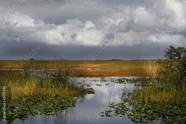 Obraz EVERGLADE WATER WAY